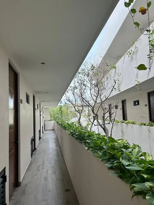 Loft Tulum Deluxe Apartment
