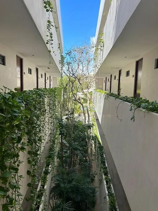 Loft Tulum Deluxe Apartment